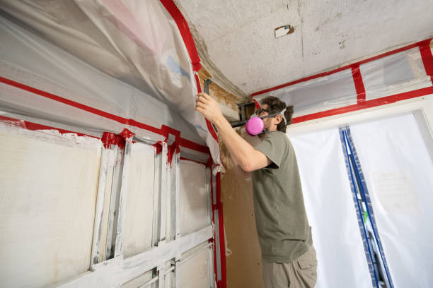 Professional Mold Removal in El Verano, CA