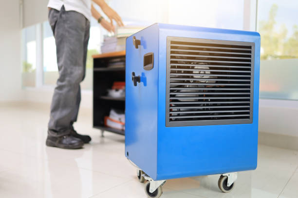 Mold Remediation for Rental Properties in El Verano, CA