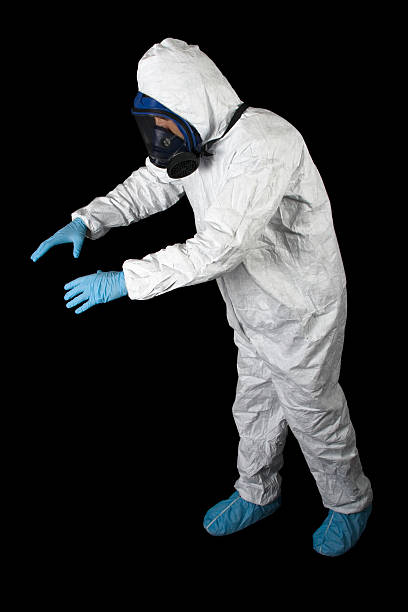 Environmental Consulting for Mold Prevention in El Verano, CA